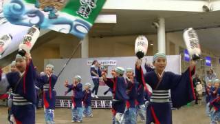 わかばウォークよさこい2009　上總童組