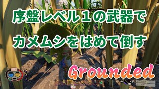 Ｇrounded カメムシを倒す（序盤レベル１の弓ではめて倒す）