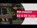 Pet Awaken ED & DR - Guide - Legacy Of Discord - Apollyon