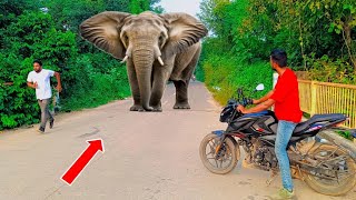 Elephant Attack Human In Forest ! Fun Made Movi | Hathi ka Aakraman