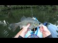 surface fishing for creek dwelling australian bass