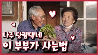 [남도지오그래피] 이 부부가 사는법, 나주 당림댁네｜KBS 210524 방송