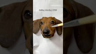 How to draw a realistic dog #shorts #dog