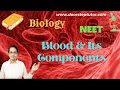 Blood & Its Components: WBC, RBC, Platelets & Functions of Blood, Circulatory System | NEET| Biology