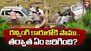 Snake Hulchul In Running Car At Kakinada | రన్నింగ్ కారులోకి పాము.. ఏం జరిగింది | Konaseema | RTV