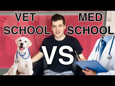 VET SCHOOL VS MED SCHOOL VET SCHOOL VS MED SCHOOL