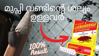 മുപ്ലി വണ്ടിന്റെ ശല്യം ഒഴിവാക്കാം || Mupli Beetel trap 😳😳