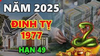 Tử vi năm 2025 tuổi Đinh Tỵ 197, gặp ĐẠI HẠN, xui đủ kiểu, ngồi không cũng mất tiền