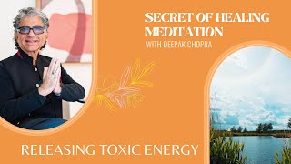 New Guided Meditation For Releasing Toxic Energy