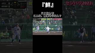 【簡単に捕る男】2023センバツ男子ソフトボール佐世保西　ショート #野球 #softball #ソフトボール #プロ野球 #熱盛 #甲子園 #ワールドカップ #メジャーリーグ #スポーツ