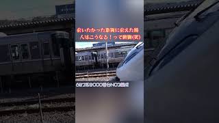 レアなしらさぎ☺️☺️683系8000番台N03編成に会えた時、感激でこうなりました(笑)