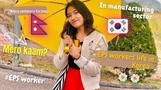 కొరియా వ్లాగ్🇰🇷||కొరియా మా మేరో కామ్ +కంపెనీ టూర్ @Minashrestha1 #nepaliinkorea #korea