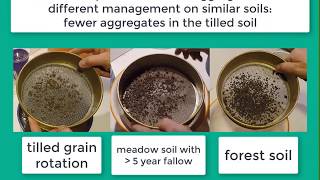 Soil Aggregate Stability for Smallholder Soil Health Assessment, Simplified Method