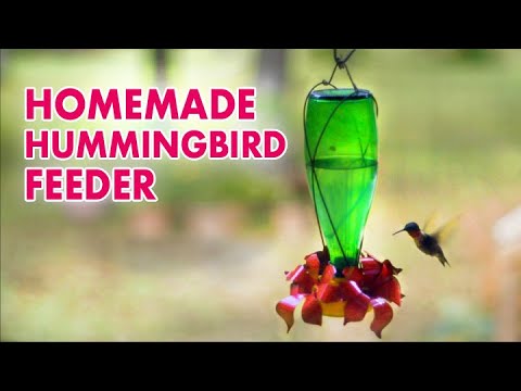 How to Make a Hummingbird Feeder How to Make a Hummingbird Feeder