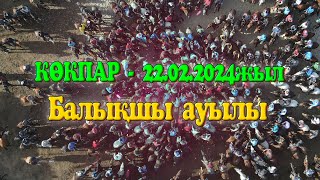 Түлкібас ауданы Балықшы ауылы Нәби көкеміздің ұлы Сағидың елден бата алу көкпары 22.02.2024 жыл