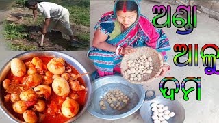 ଅଣ୍ଡା ଆଳୁ ର ଦମ Recipe || ବାଡ଼ି ଆଳୁ ଆଉ Desi ଅଣ୍ଡା ର ସୁଆଦିଆ ଦମ || Egg Potato Masala In Village