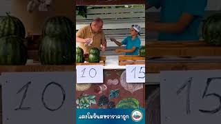 Watermelon for sale - แตงโมจินตหรา #short #funny ha ha ha