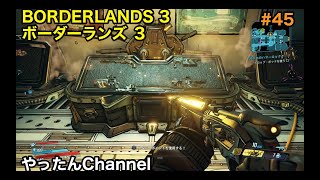 #45【ペットに頼りっきりなヘタレ FL4K（フラック）】ボーダーランズ3 BORDERLANDS3