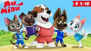 Au Miau 🐶 Desenhos animados em Português - 60 minutos