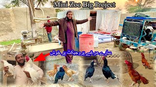 Mini Zoo Men Big Project Start Hugya 🫣 All Birds Full Happy 😊