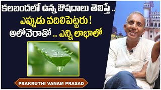 What Are The Benefits of Aloe Vera || Prakruthi Vanam Prasad About Alovira Benefits || Health Tips