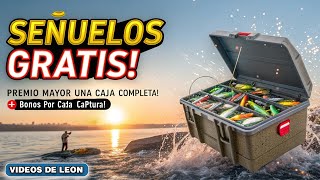 MEGA GIVEAWAY of FREE Fishing Lures for a Month!