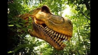 4K Dino Park Rasnov Tur Complet