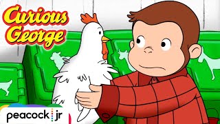 🐓 George the Farm Animal Babysitter! | CURIOUS GEORGE