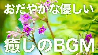 【癒しBGM】自律神経を整え心が落ち着くリラックス音楽、不安やストレス解消のためのヒーリングミュージック/睡眠用・作業用・勉強用BGM