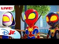 🔴 LIVE! NEW SPIDEY FULL EPISODES & SHORTS | Marvel's Spidey and his Amazing Friends | @disneyjunior