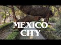 Avenida Horacio, Mexico City - HD Walking Tour