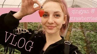 VLOG | Qingyan \u0026 strawberries!