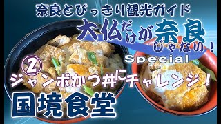 【奈良グルメ】国境食堂編　奈良へ来たらジャンボかつ丼を食すべし　大仏だけが奈良じゃない　グルメも充実　奈良公園周辺の観光スポットをご案内　絶品かつ丼　ドとんこつラーメン　一望　奈良【奈良観光】