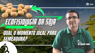 Qual o momento ideal para a semeadura?