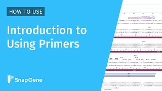 How to Use Primers in SnapGene: Import, Design, and Manage