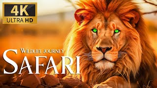 Wildlife Journey Safari 4K 🦁Majestic Encounters Wild Animals in the Wilderness w