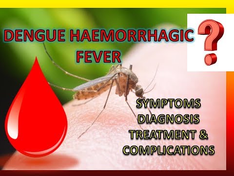 | DENGUE HAEMORRHAGIC FEVER !!!!!!! | DENGUE HAEMORRHAGIC FEVER !!!!!!!