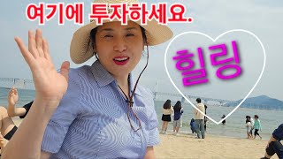 갤러리 피아니스트/ 손철 화백 화제: 칠갑산 / 배경음악: 김은영 피아니스트 연주, 자작곡 곡명:팬더