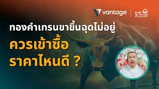 สายลับจับทองคำ 𝗚𝗢𝗟𝗗 𝗗𝗘𝗧𝗘𝗖𝗧𝗜𝗩𝗘 I ทองคำเทรนขาขึ้นฉุดไม่อยู่ ควรเข้าซื้อราคาไหนดี?