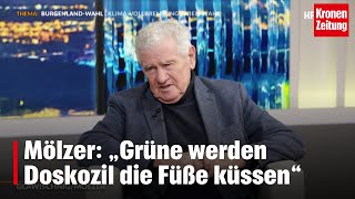 Mölzer offensiv: „Grüne werden Doskozil die Füße küssen“ | krone.tv DAS DUELL