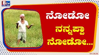 Haveri: ಹಾವೇರಿ ತಾಲೂಕು ಚಿಕ್ಕಲಿಂಗದಹಳ್ಳಿಯಲ್ಲಿ ರೈತನ ಗೋಳಾಟ. ಕೇಂದ್ರ ಅಧ್ಯಯನ ತಂಡದ ಎದುರು ಗಳಗಳನೆ ಅತ್ತ ರೈತ..!