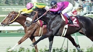 第44回　阪神大賞典 （ＧⅡ）　ナリタブライアン　牡５　59　武豊　1996.6.9　　出走馬：マヤノトップガン 、ルイボスゴールド 、トウカイパレス、ハギノリアルキング、ノーザンポラリス他