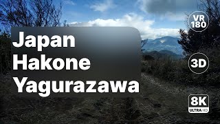 Japan Hakone Yagurazawa - Relaxing Music Virtual Walk 8K 180 3D