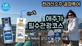 [제주체험] 재방문하는 사람이 은근이 많은 이유는?