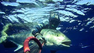 Spearfishing Enorme Ricciola del Nettuno 50 kg #pescasub #bigamberjack spectacular great hamberjack