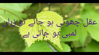 Aqal Choti Ho Jaaye To Zuban Lambi.... Best Urdu Quotes Unique Urdu Quotes Heart Touchin Urdu Quotes