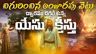 🌳చిగురించిన అంజూరపు చెట్టు - ద్వారము దగ్గరే ఉన్న యేసు క్రీస్తు | Israel Prophecy | @manarakshakudu