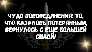 Чудо воссоединения то, что казалось потерянным, вернулось с еще большей силой!