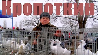 Птичий рынок. Кропоткин. [26.01.2025]