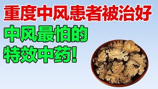 重度中风患者被治好！它是中风最怕的特效中药，关键时候救你一命【养生大中医】